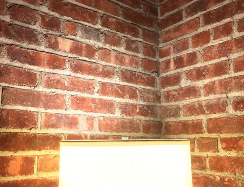 Used Brick – Interior Ambiance