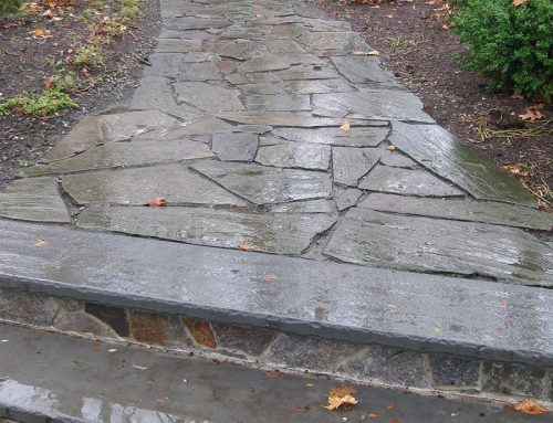 Irregular Blue Stone steps and pathway