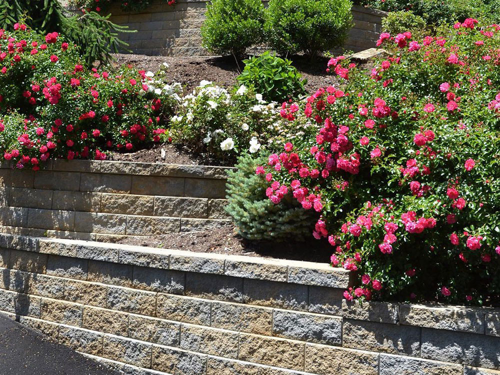 retaining wall with flowers